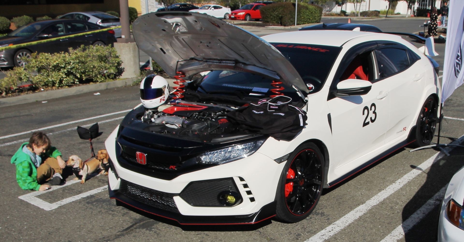 Full View