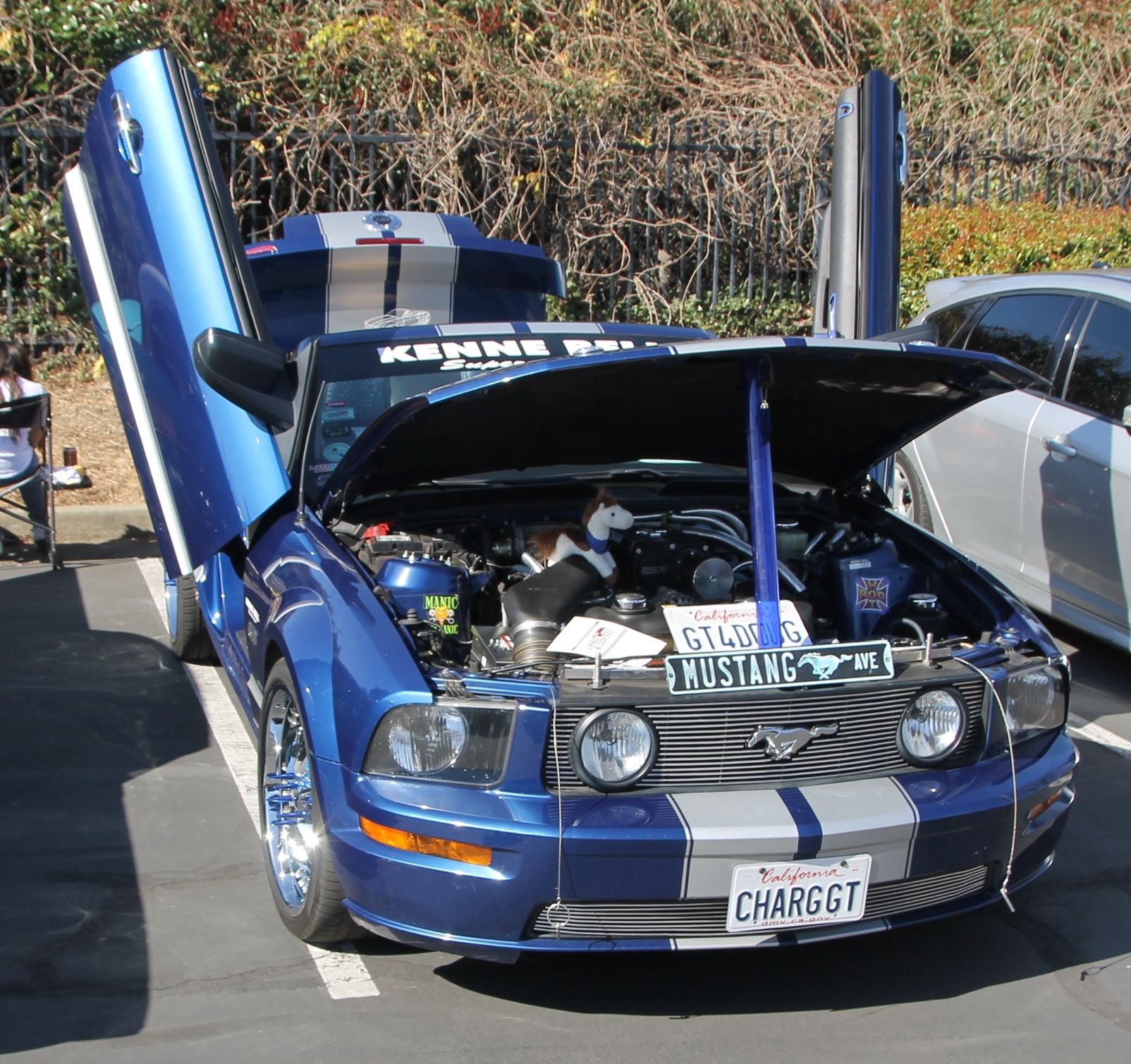 Full View