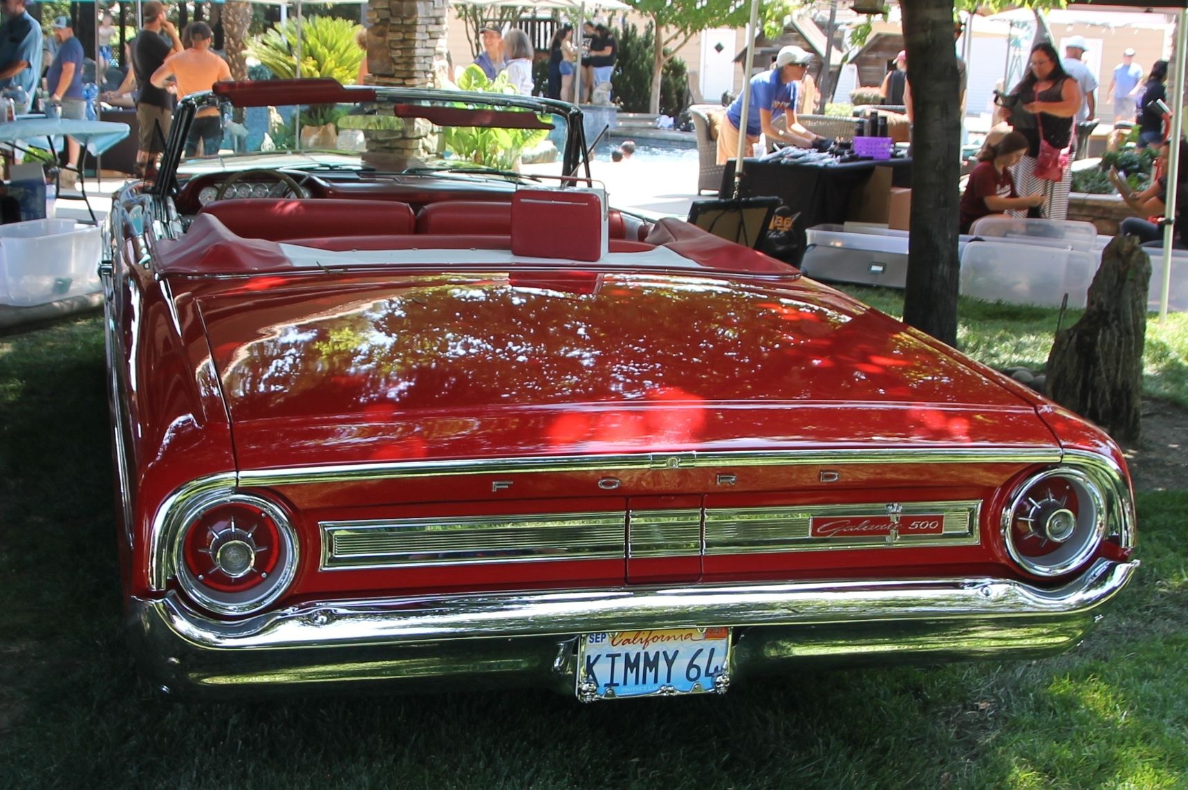 Full View