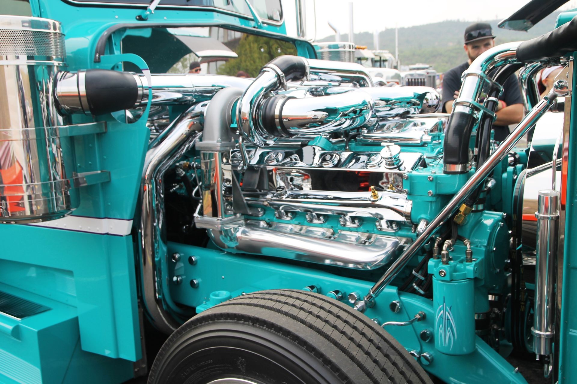 Full View