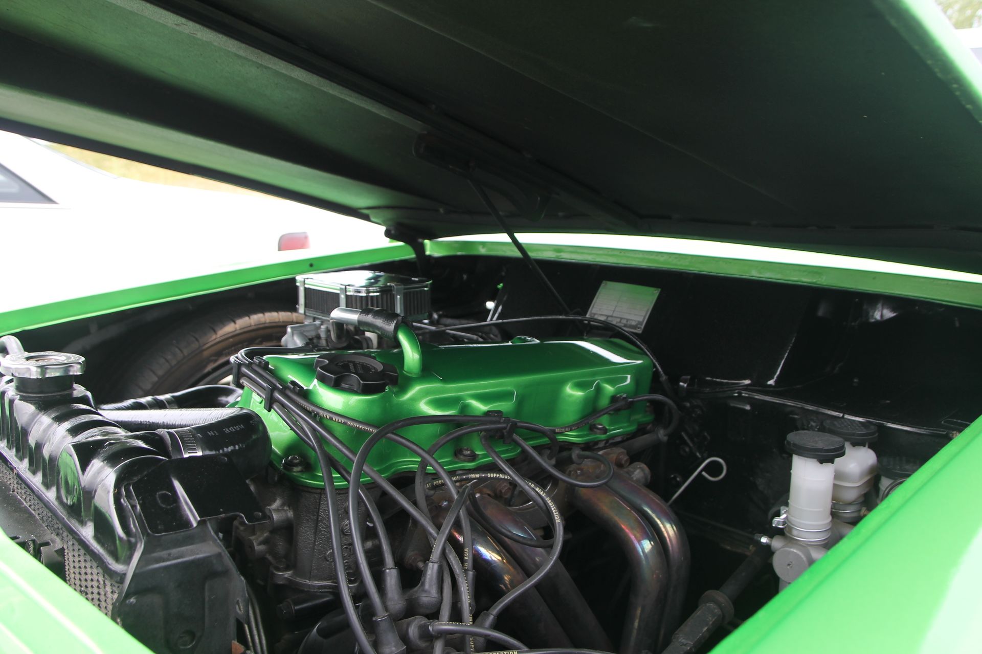 Full View