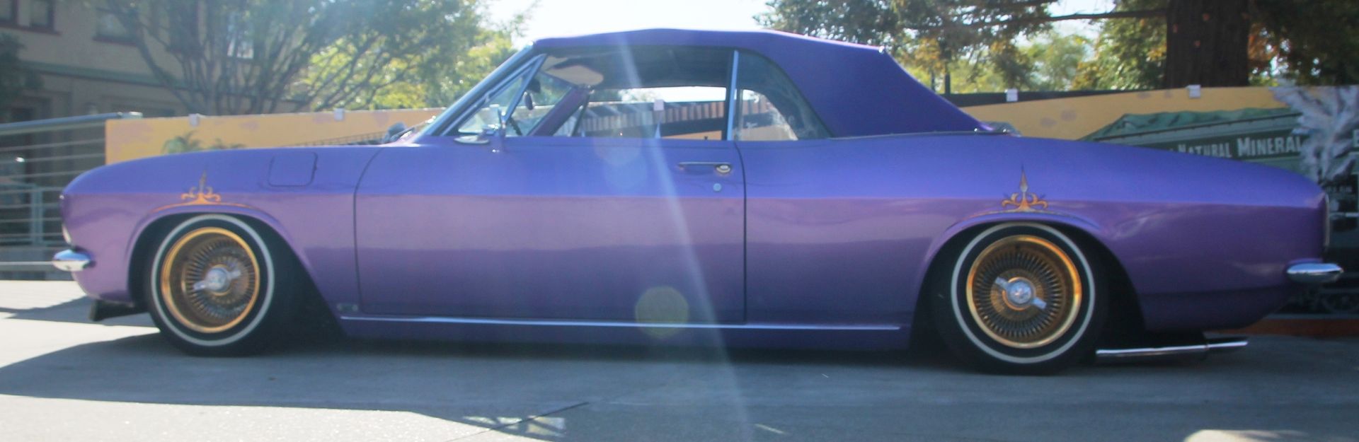 Full View