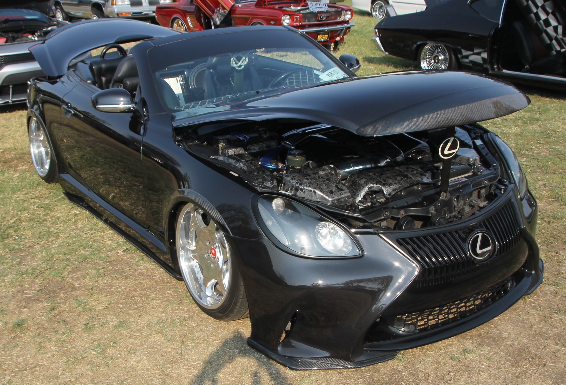 Full View