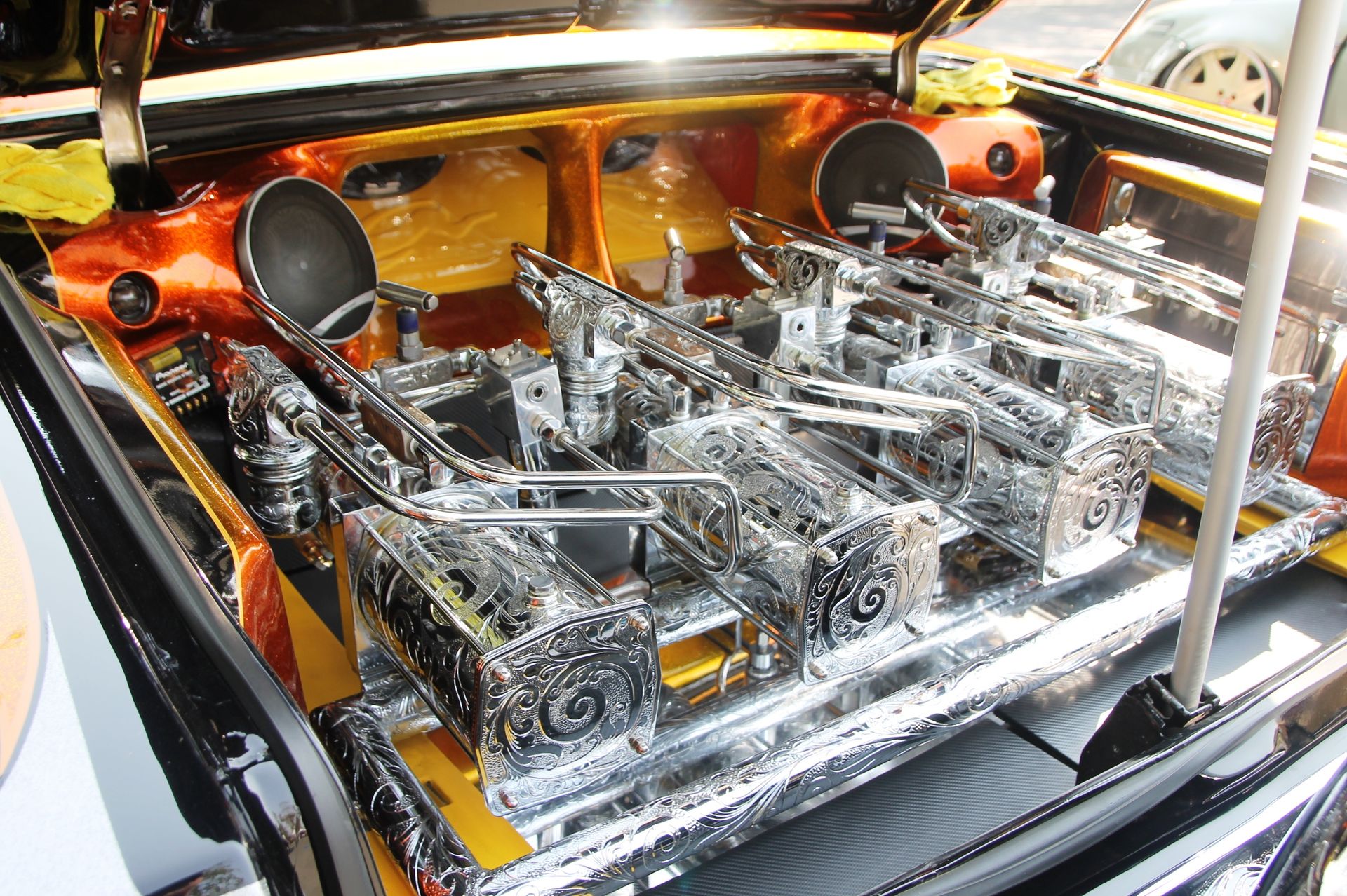 Full View