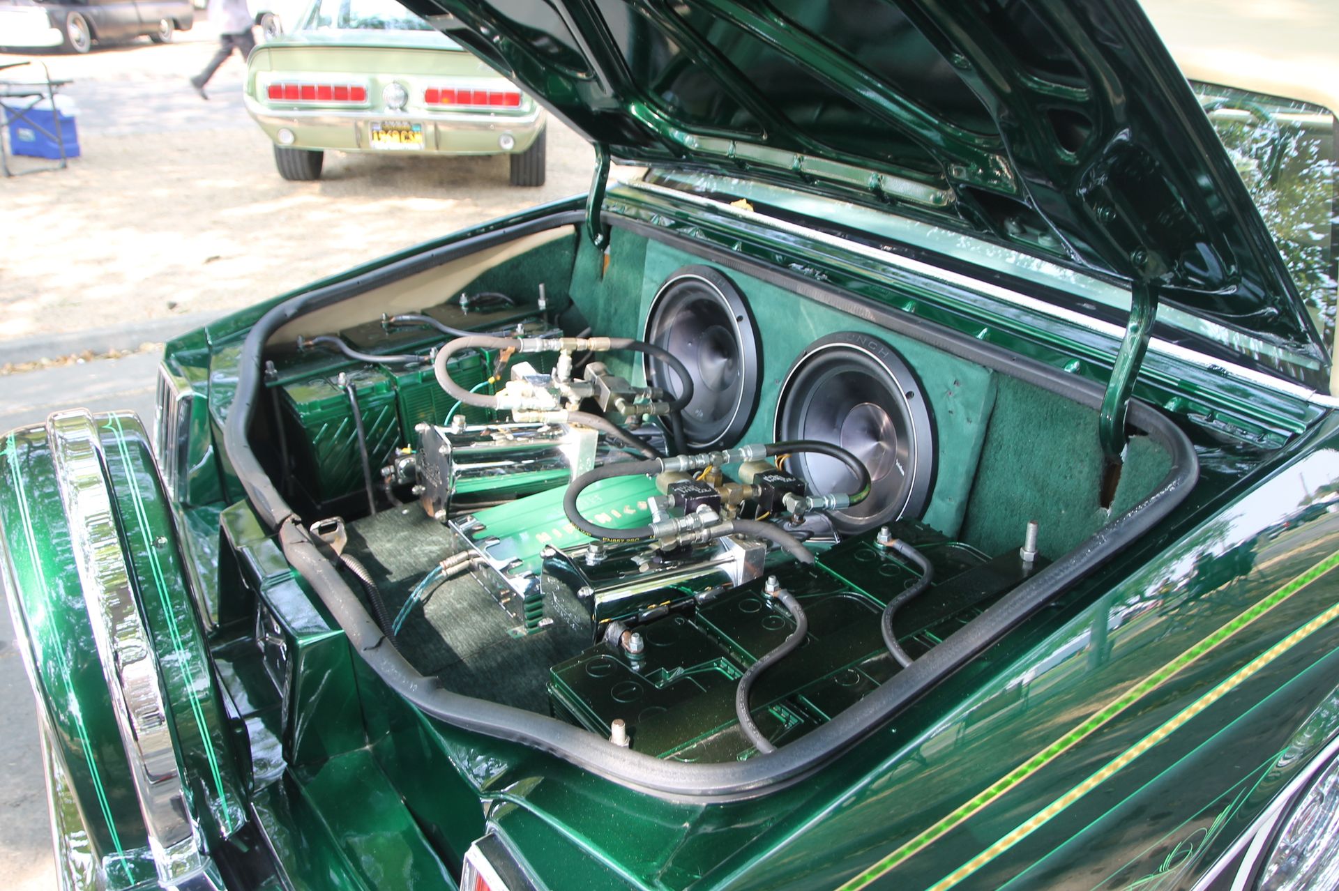 Full View