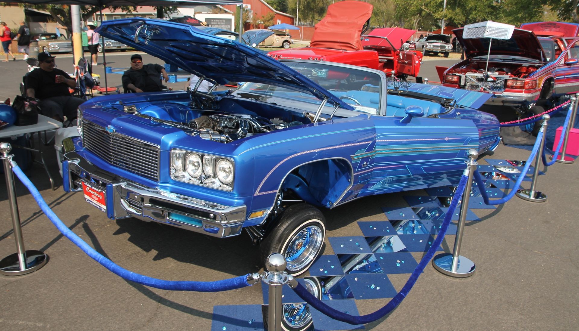 Full View