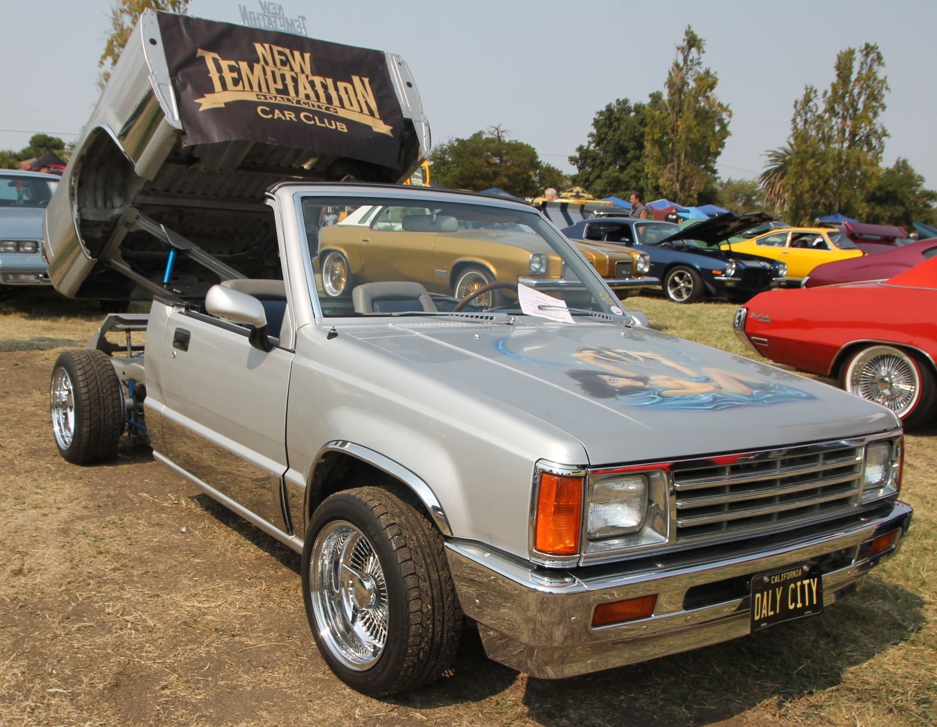 Full View