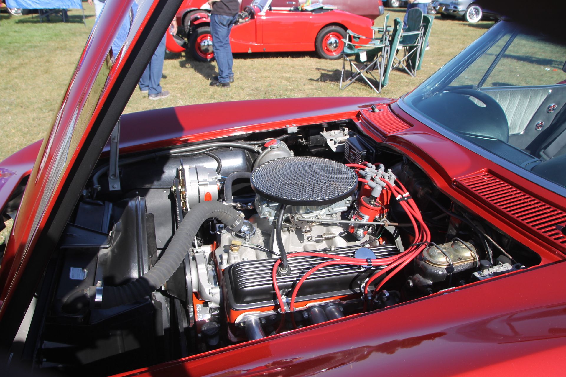 Full View