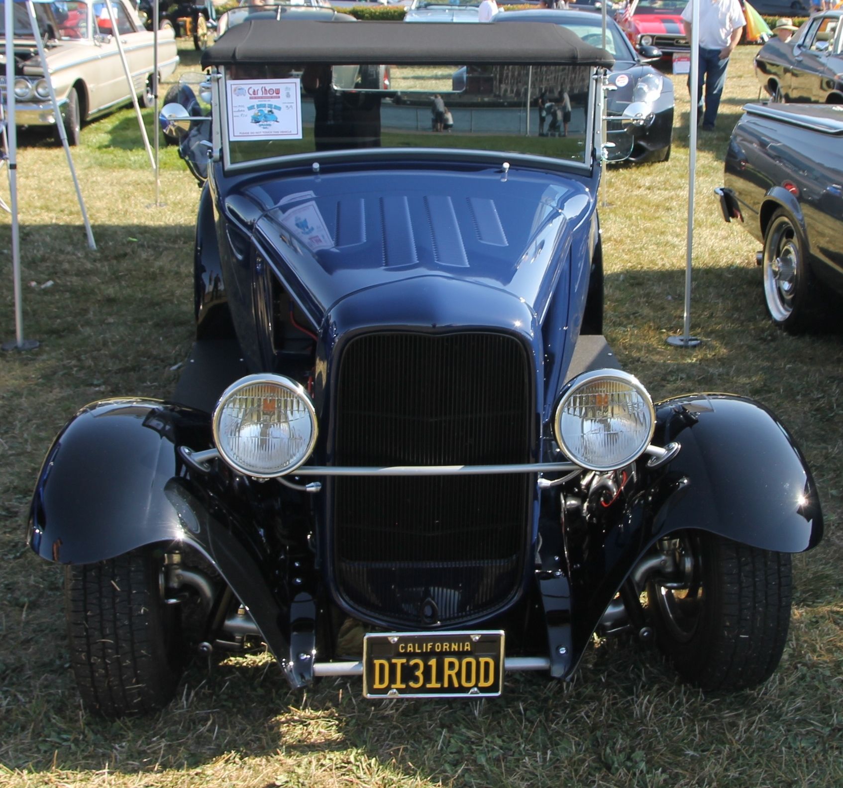 Full View