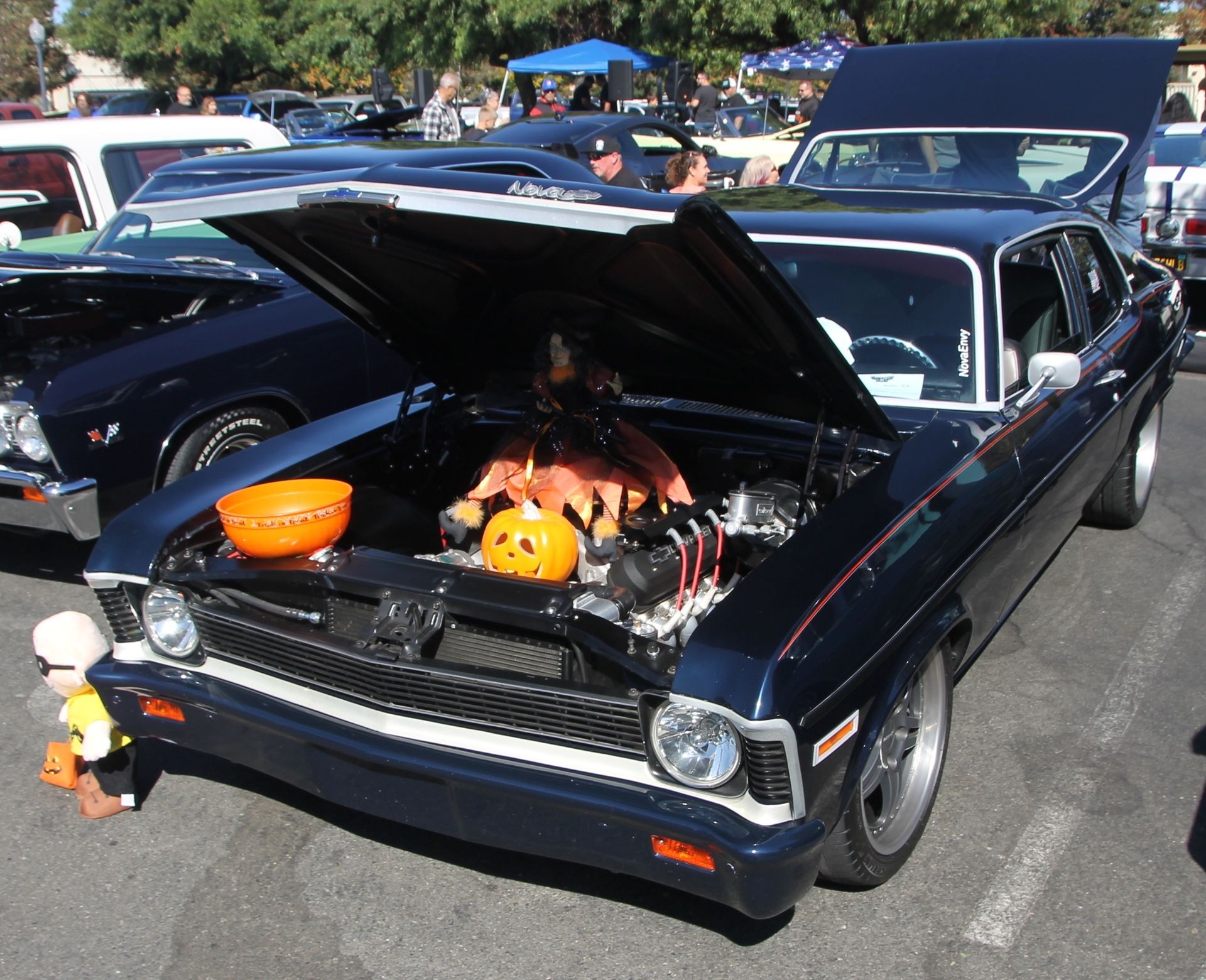 Full View