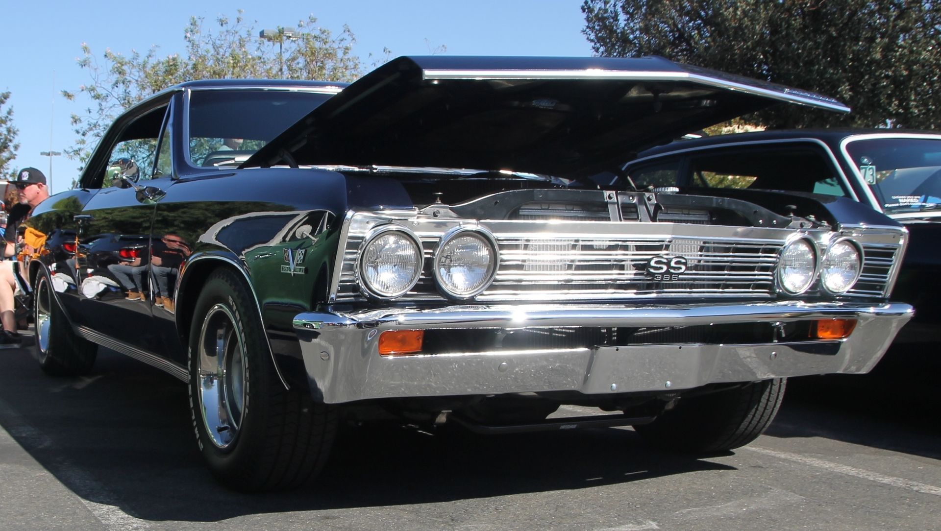 Full View