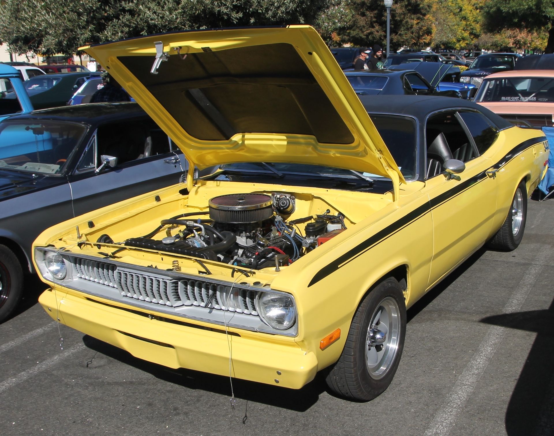 Full View