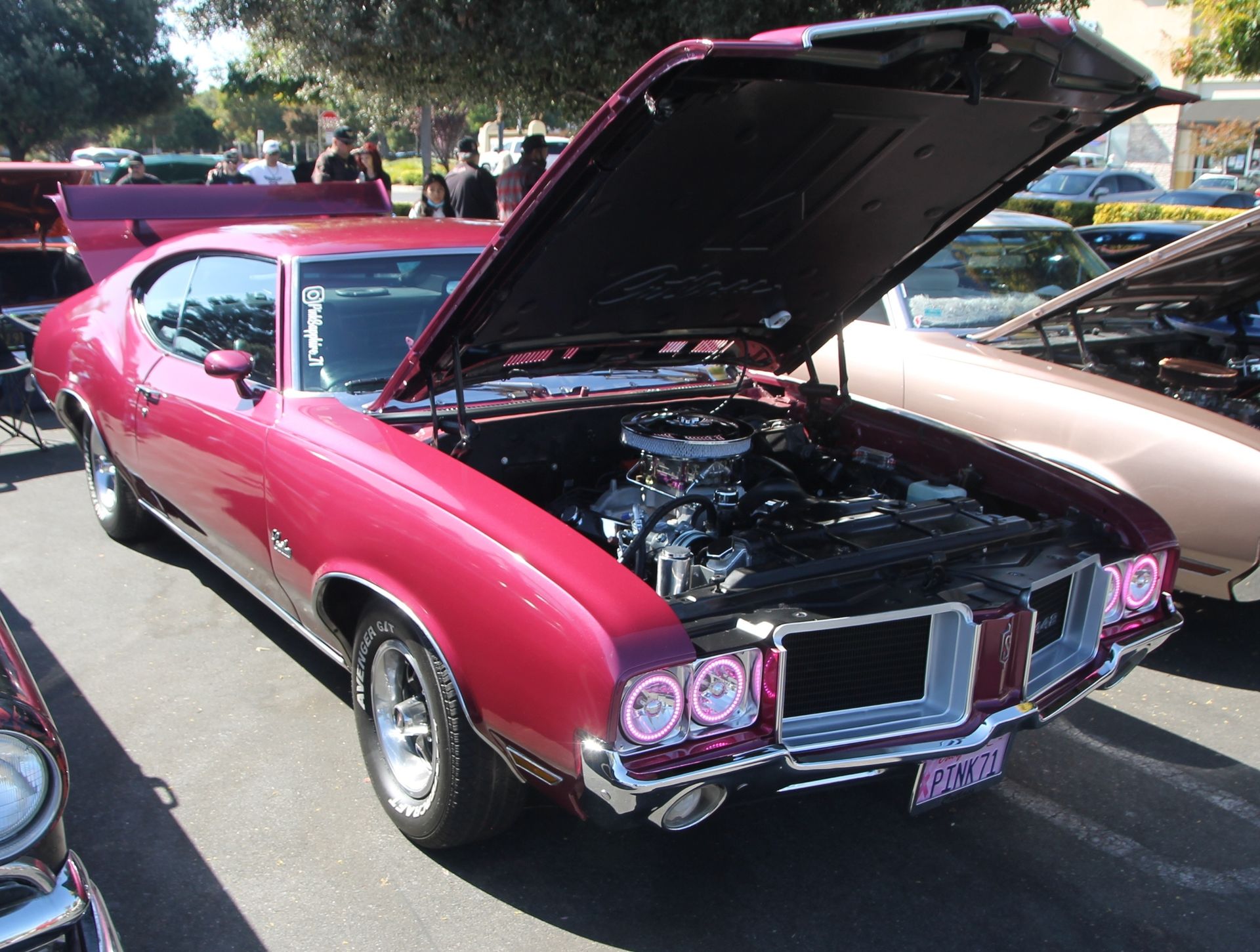 Full View