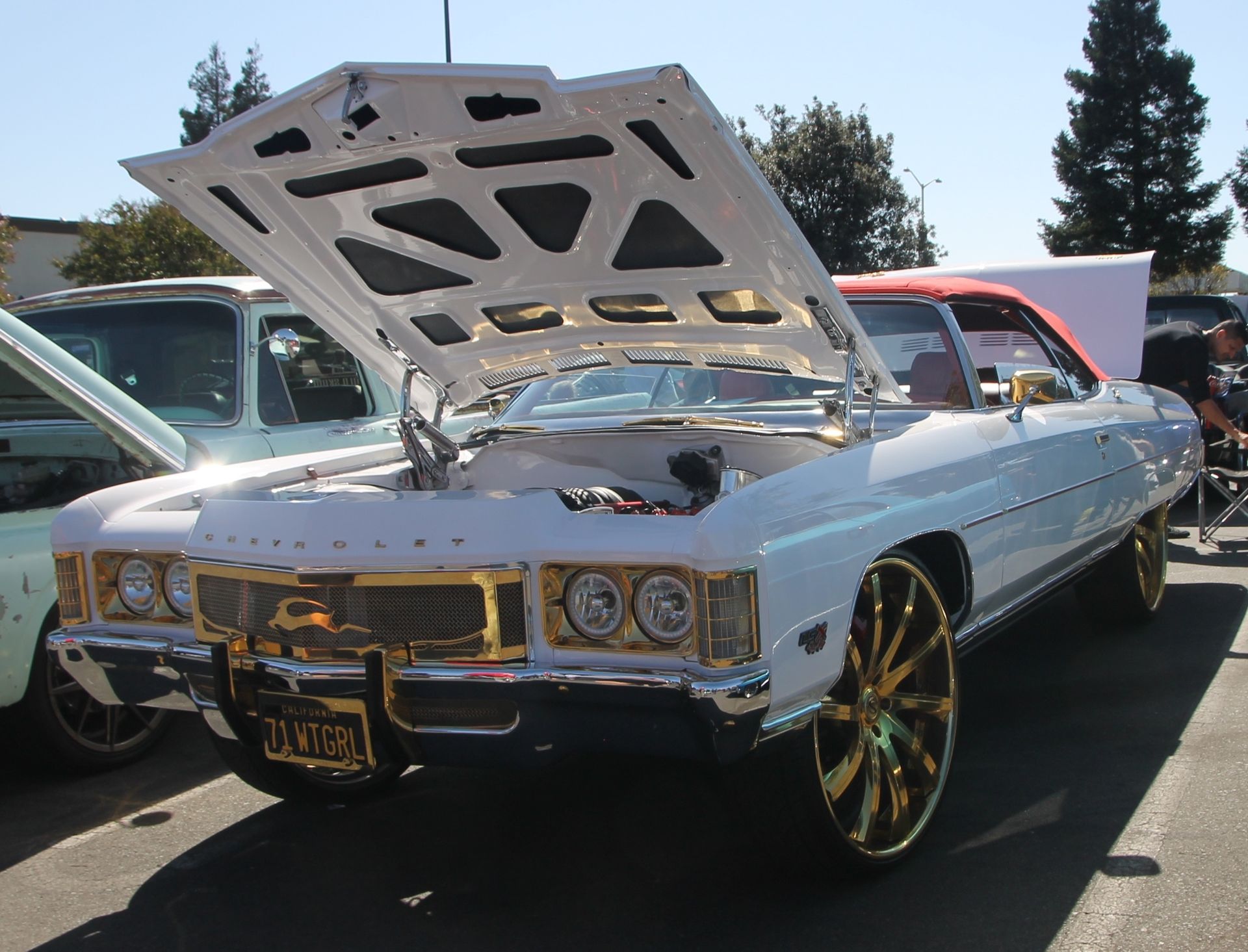 Full View