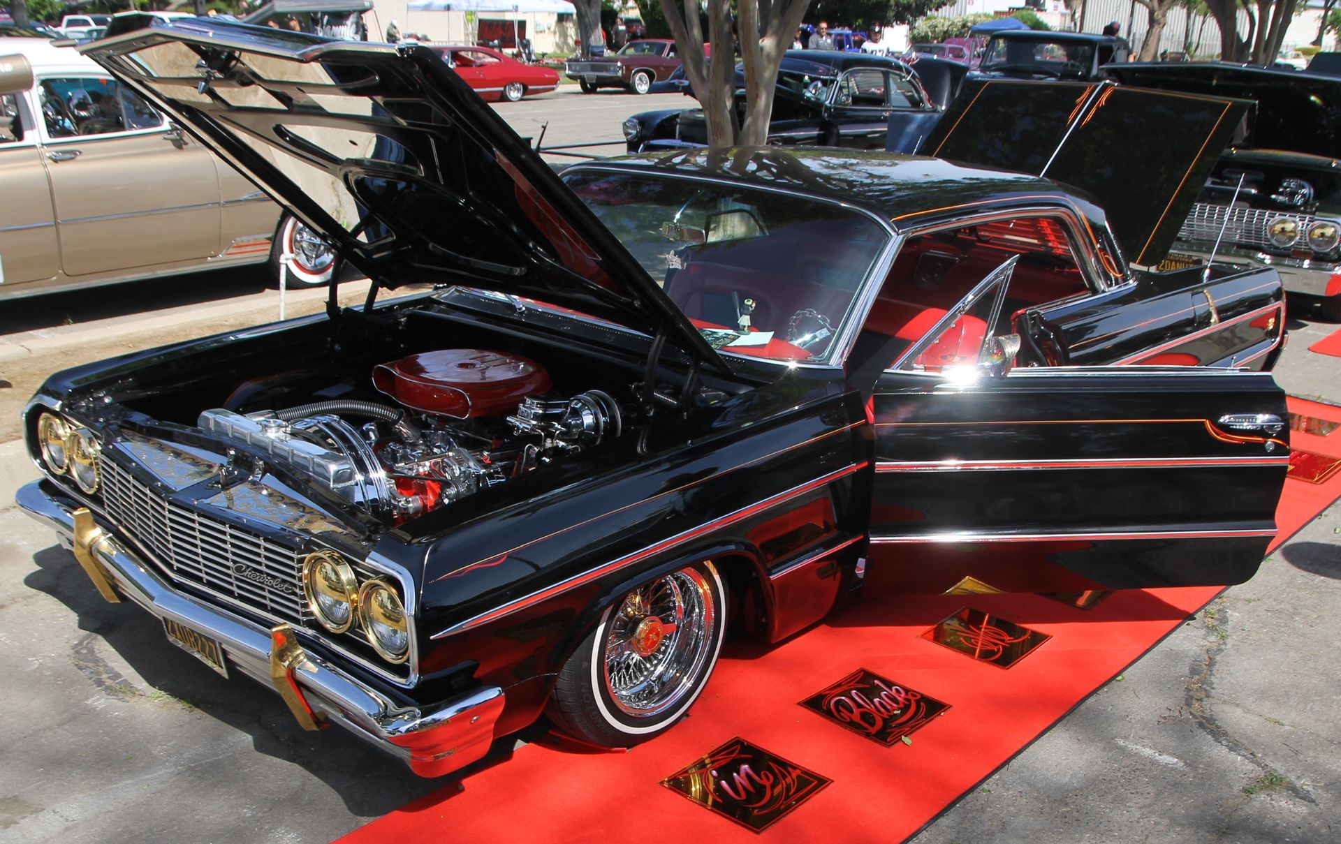Full View
