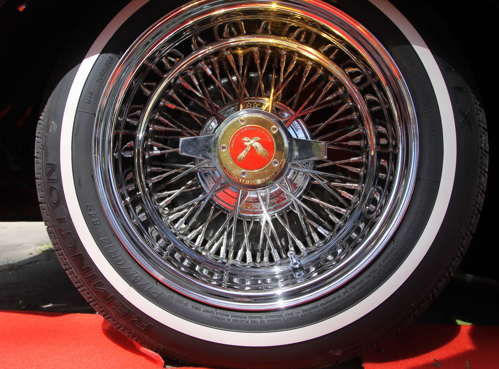 Full View