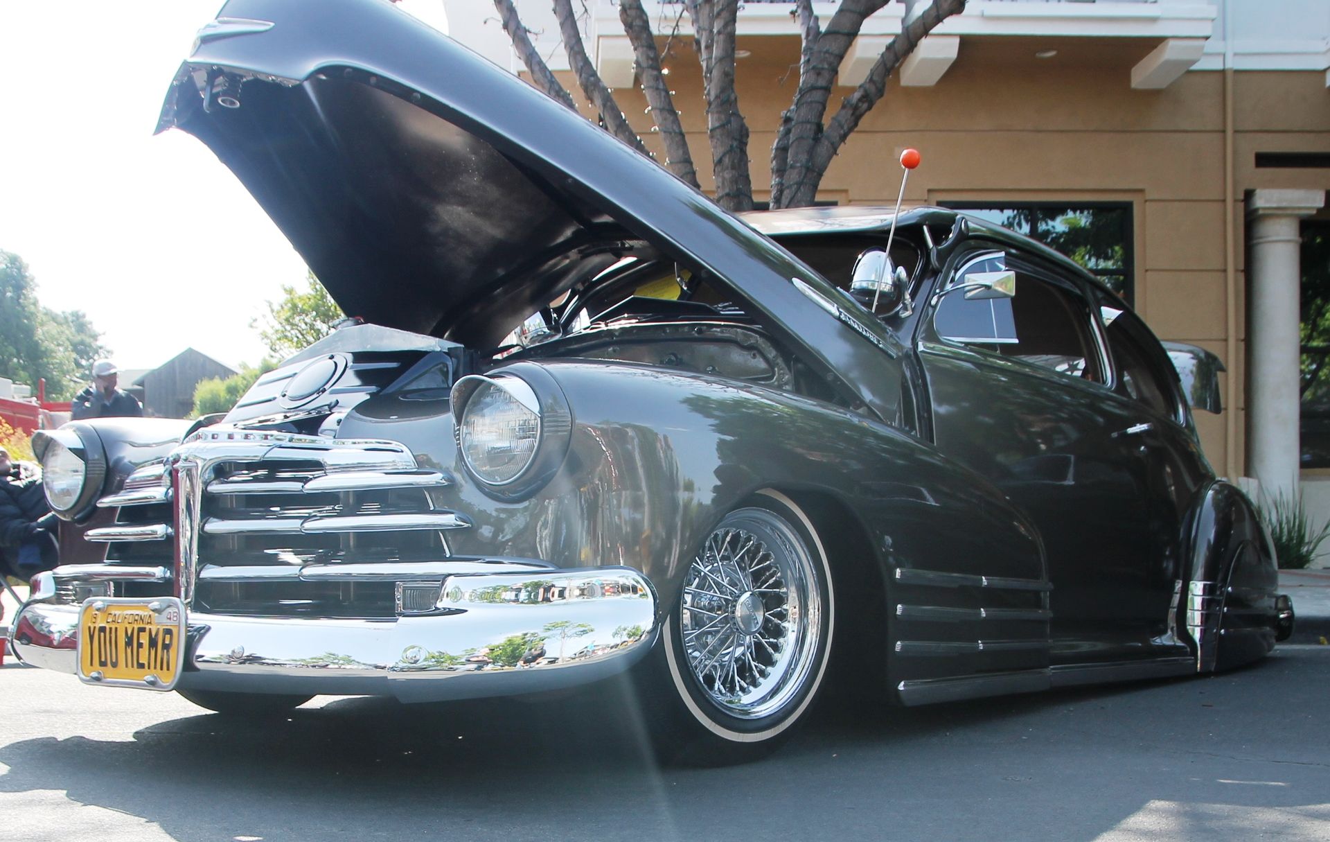Full View