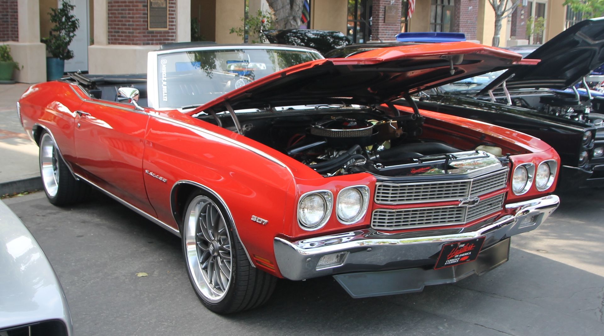 Full View