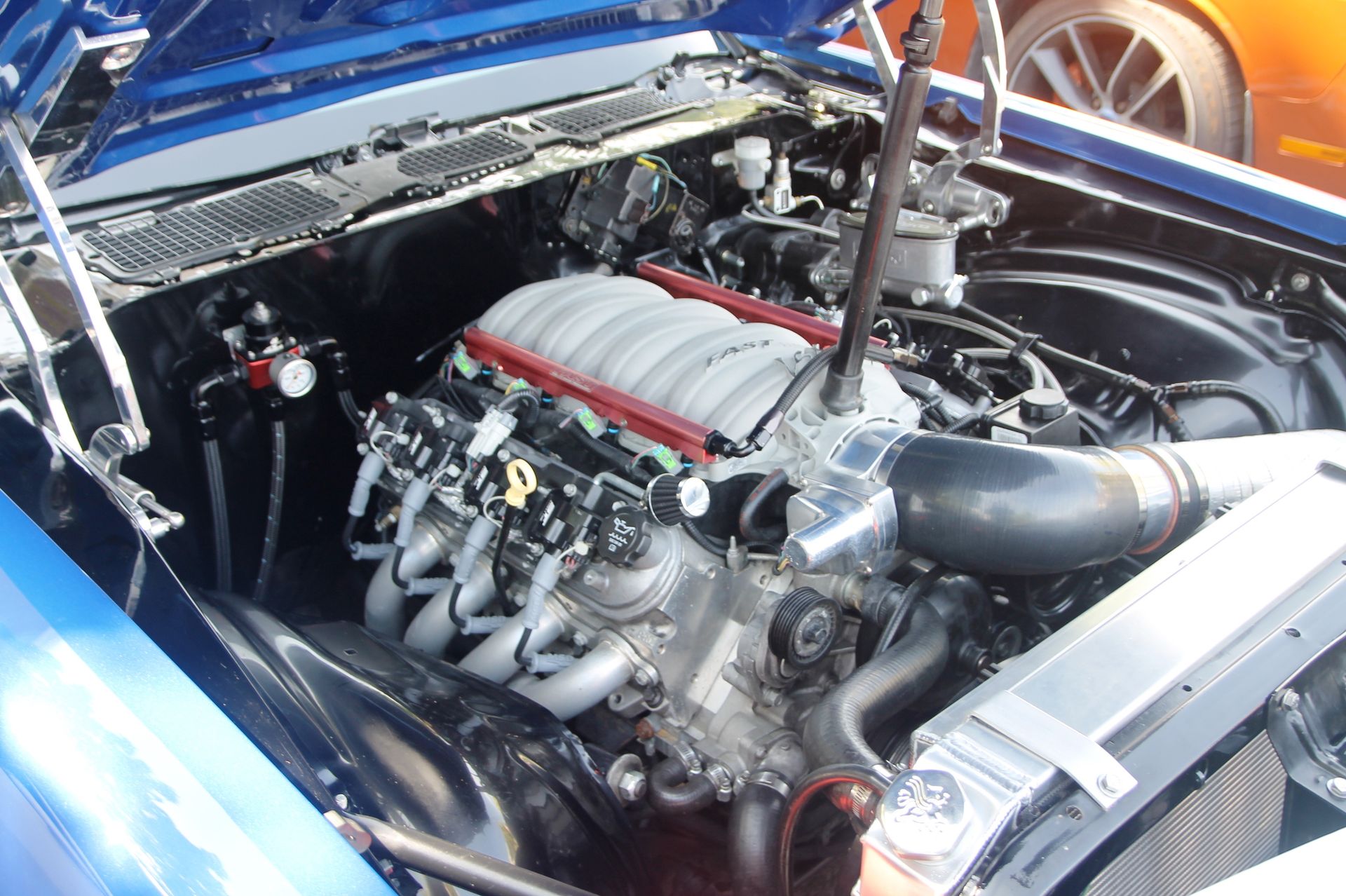 Full View