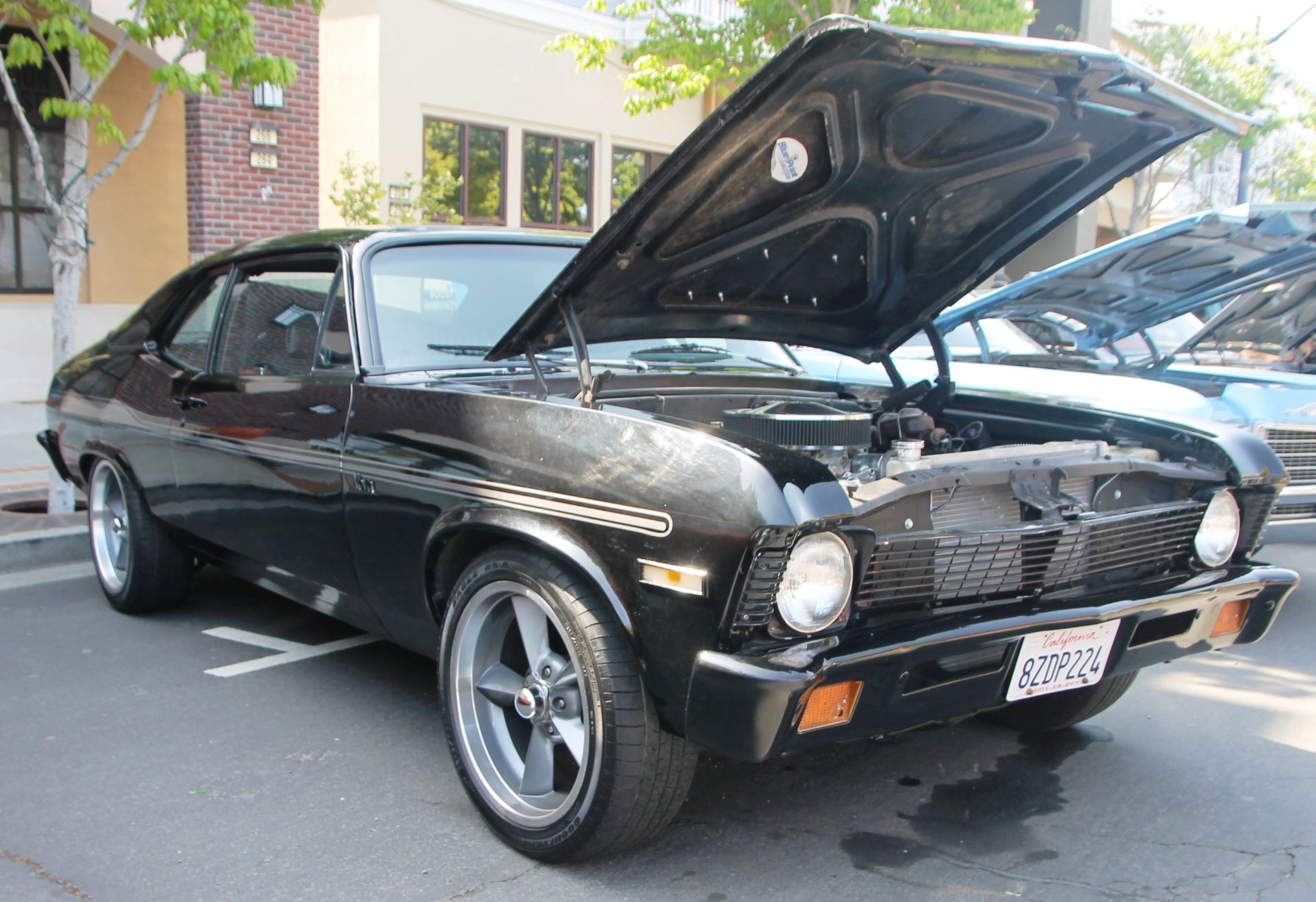Full View