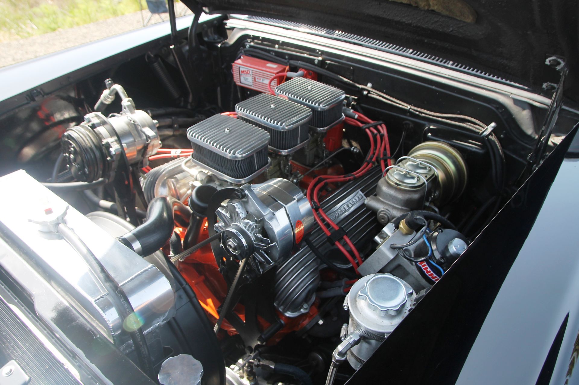 Full View