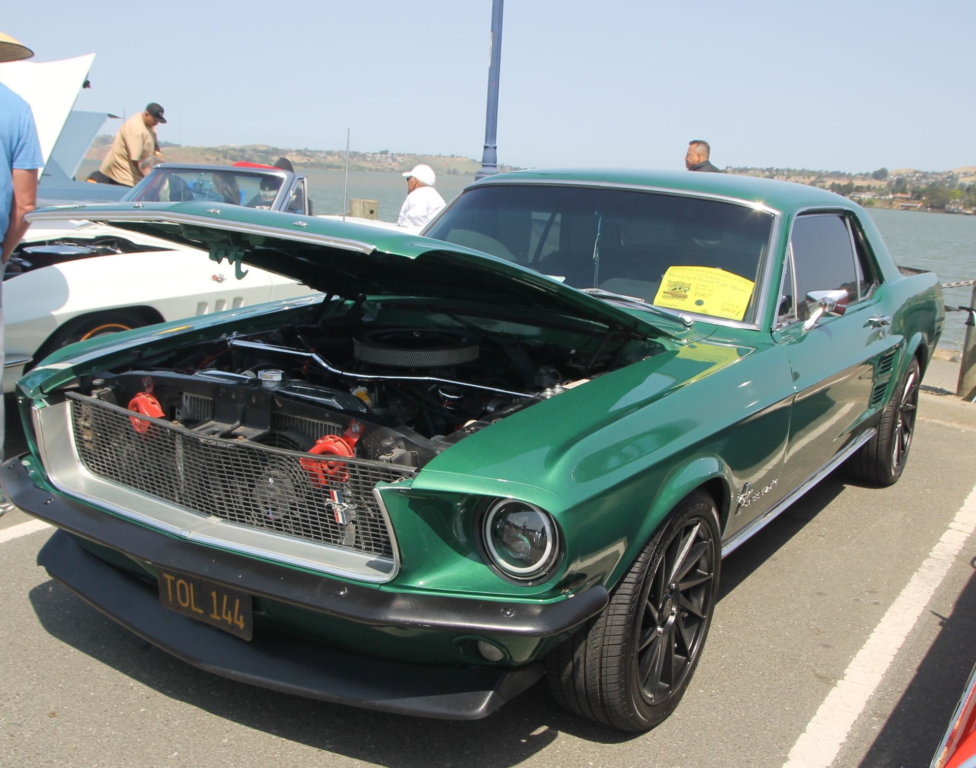 Full View