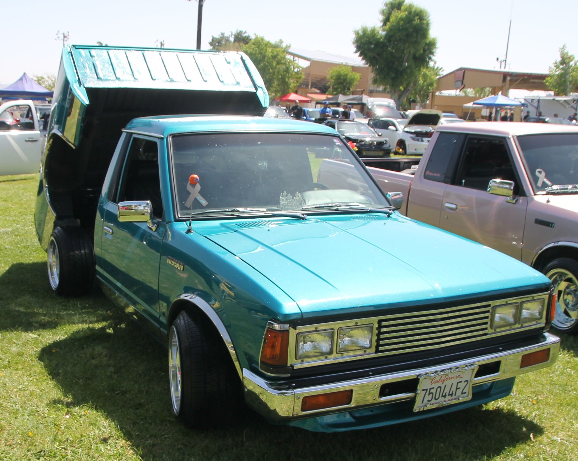 Full View