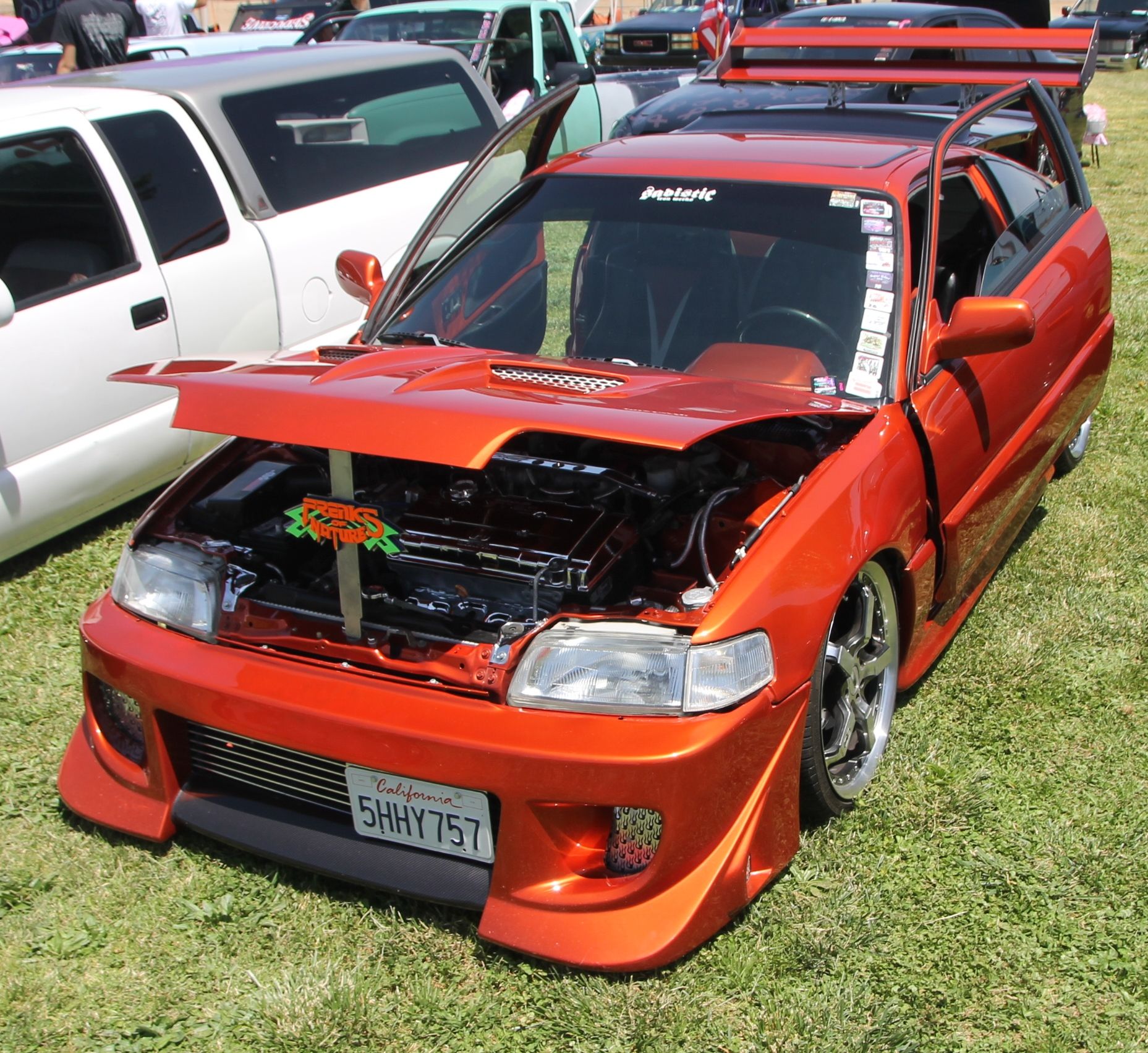 Full View