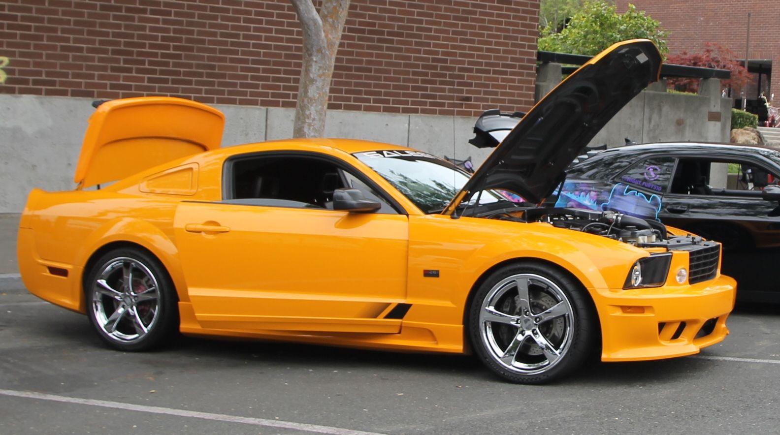 Full View