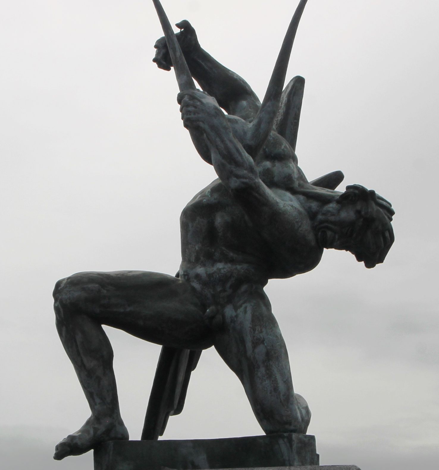 Full View