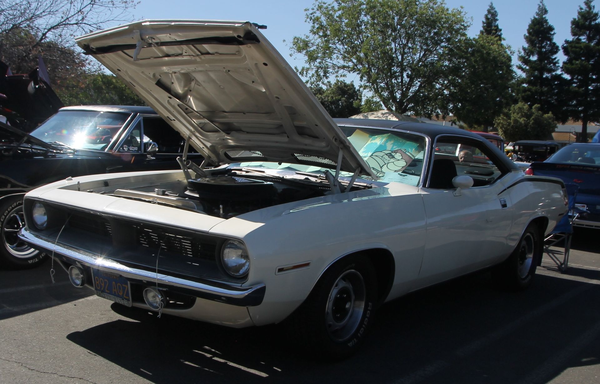 Full View