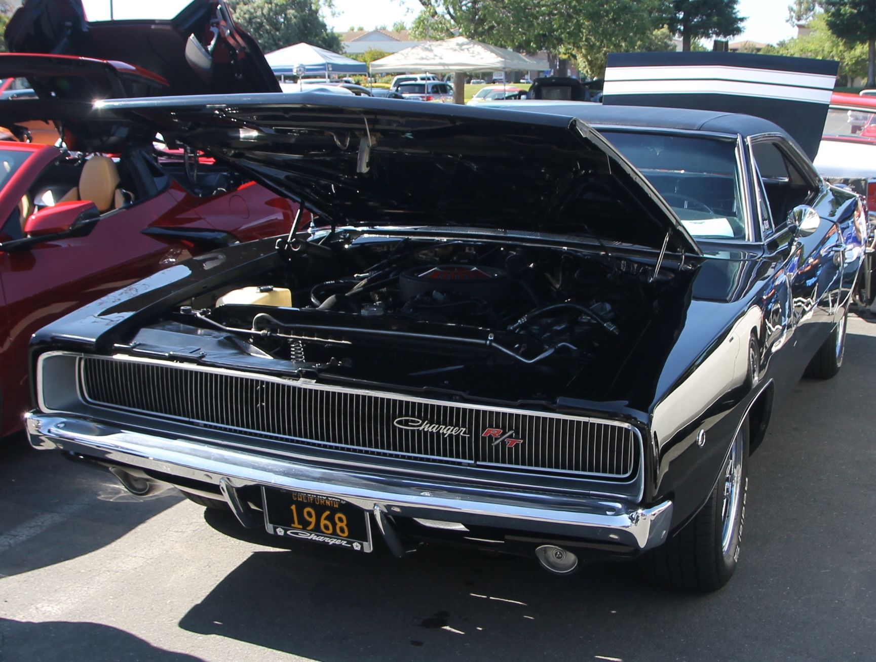 Full View