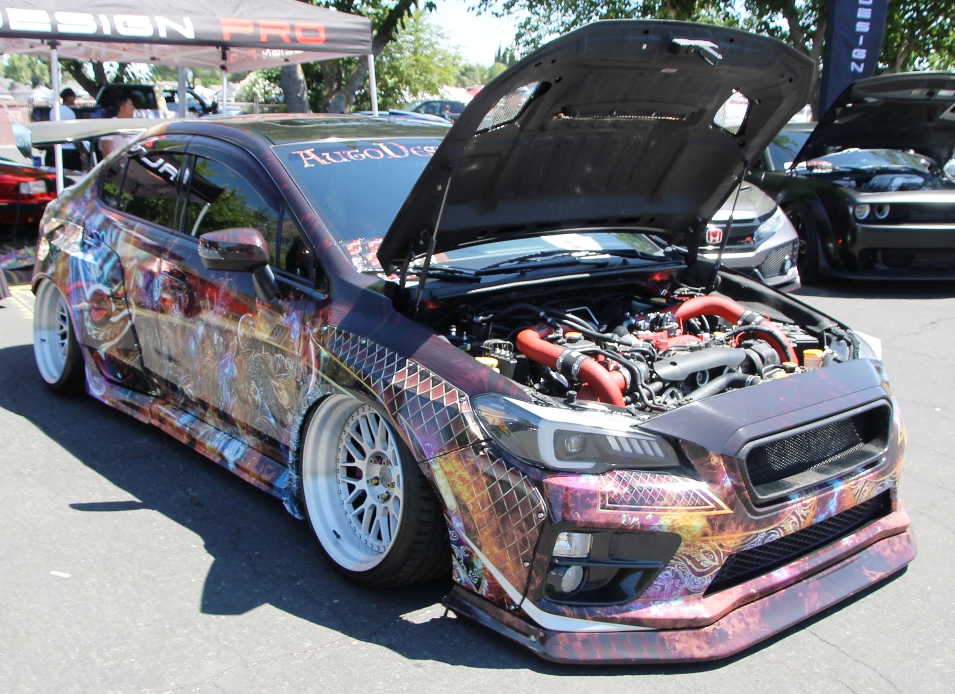 Full View