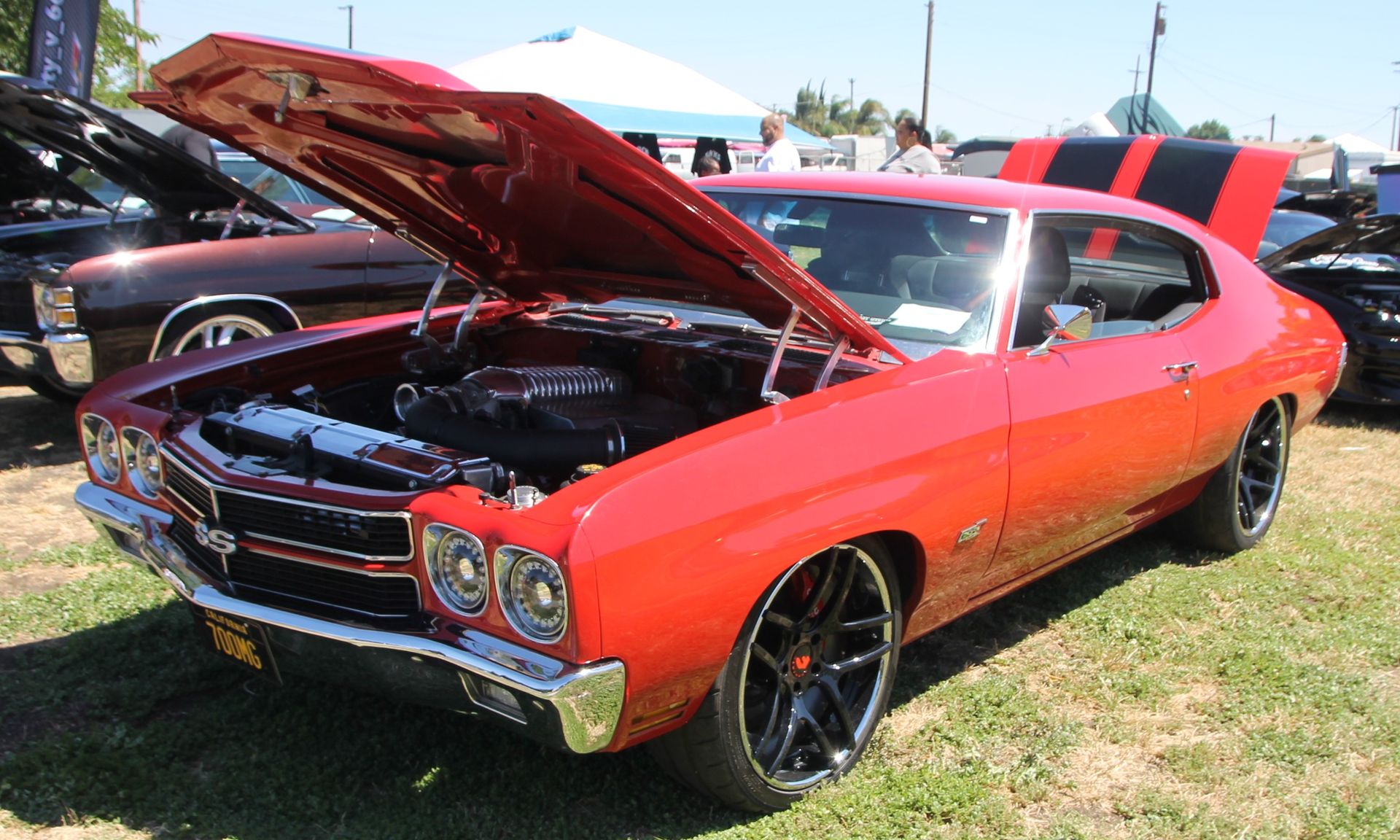 Full View