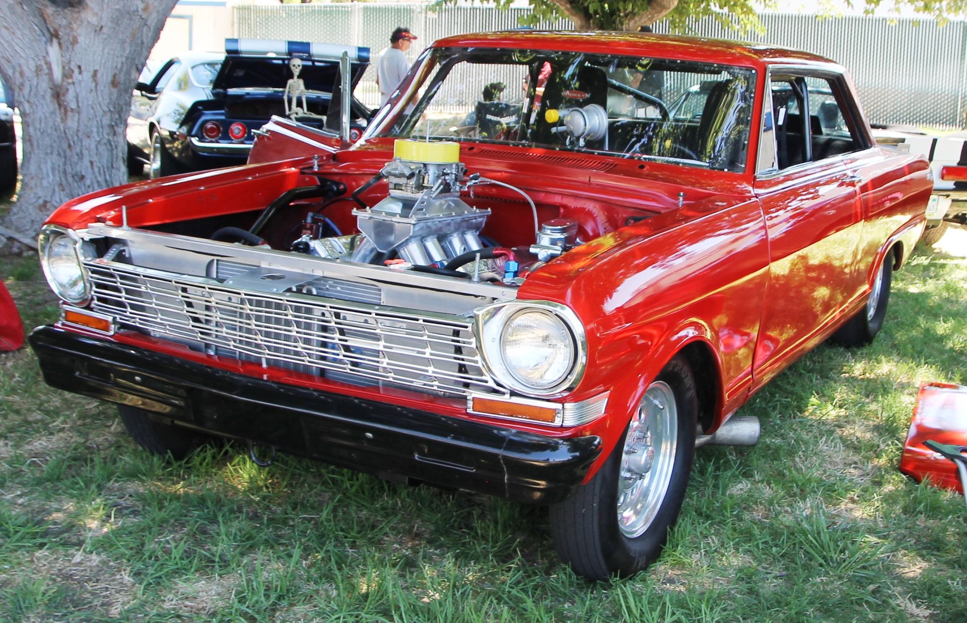 Full View
