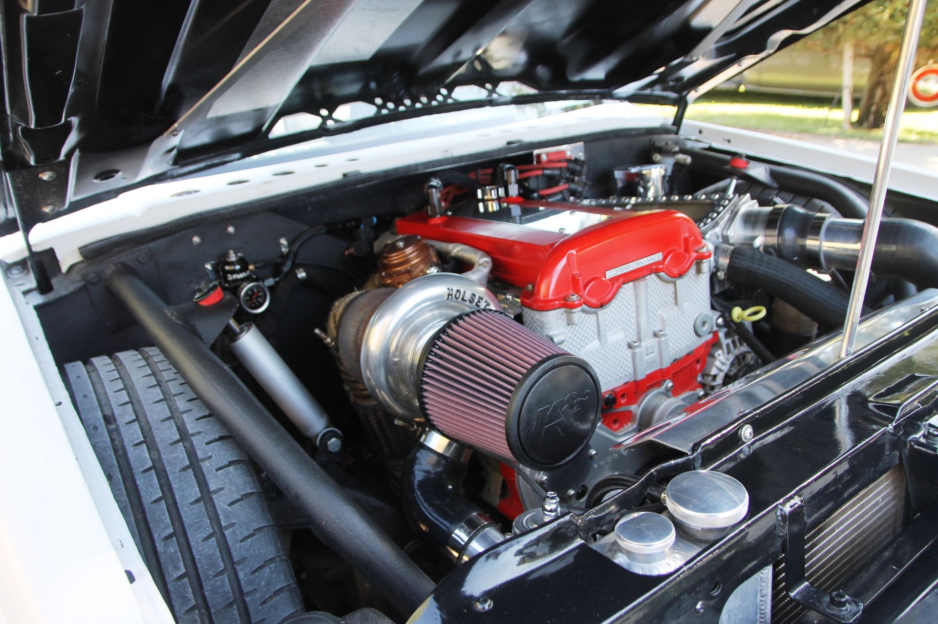 Full View