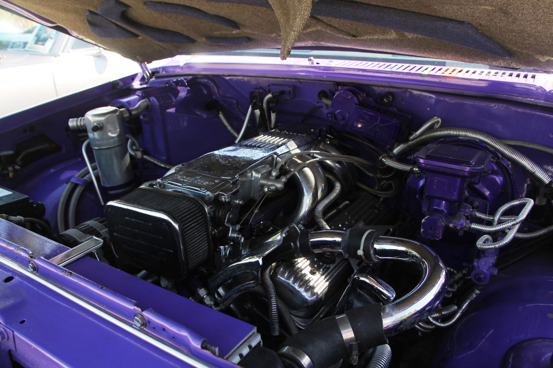 Full View