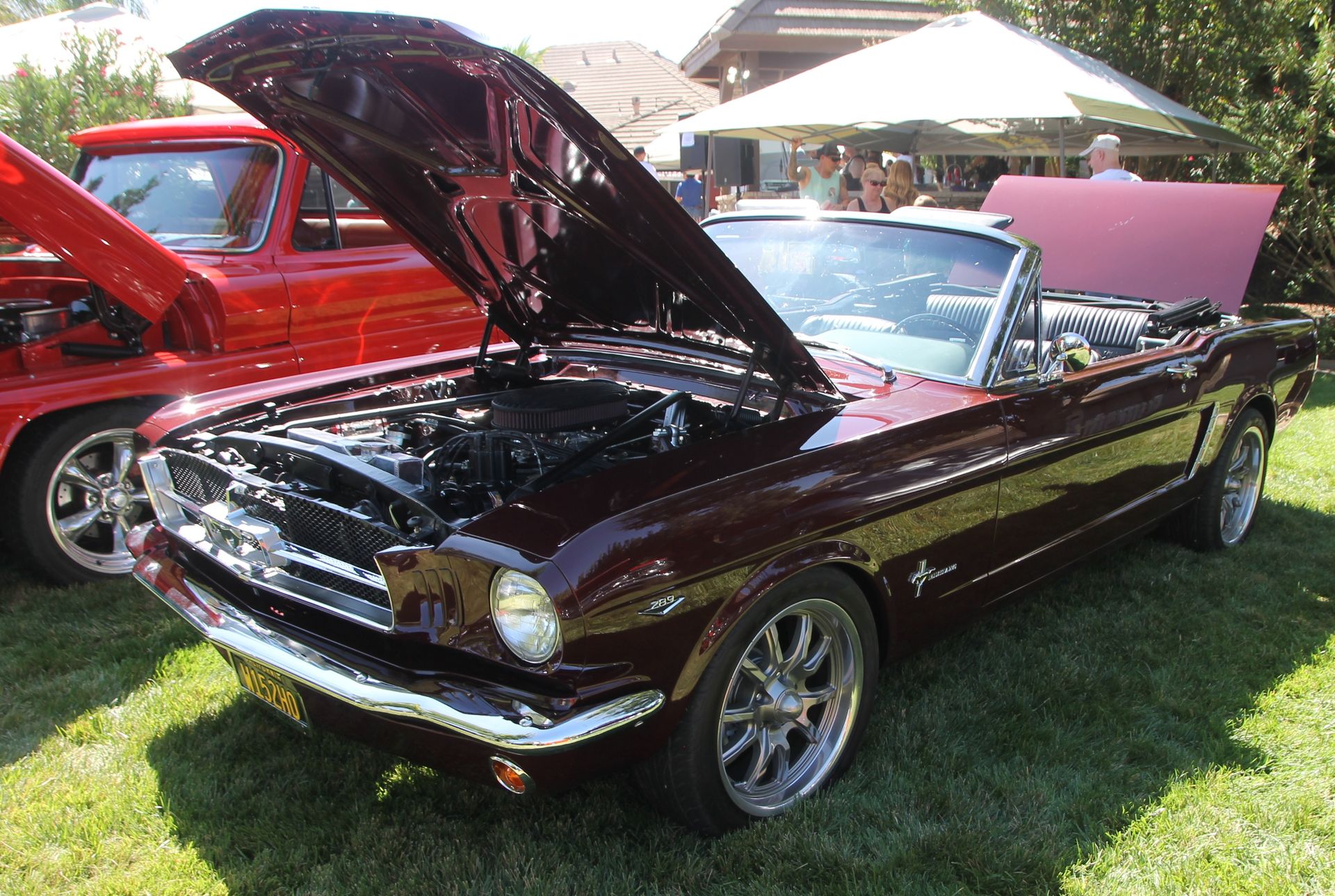 Full View