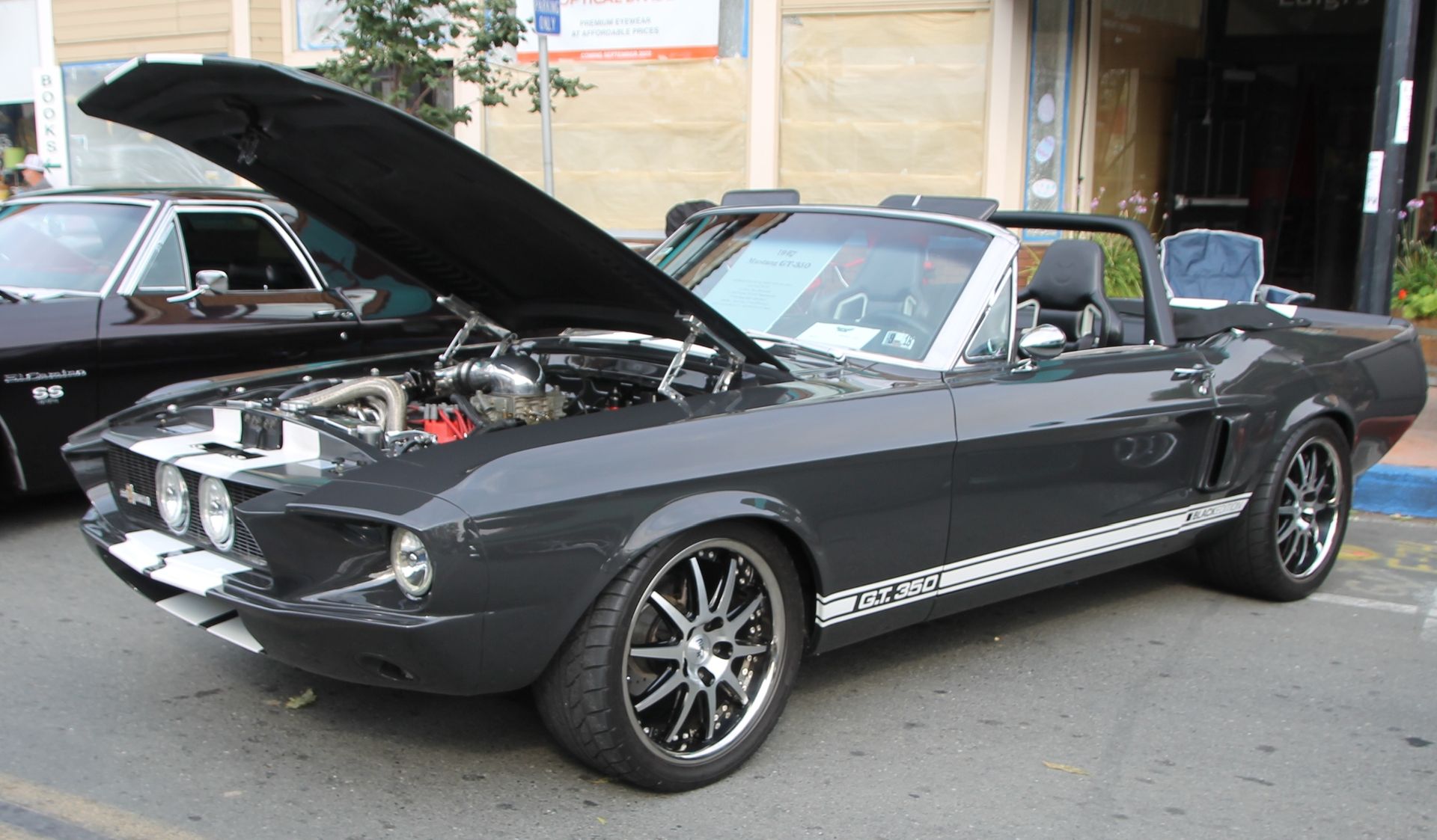 Full View