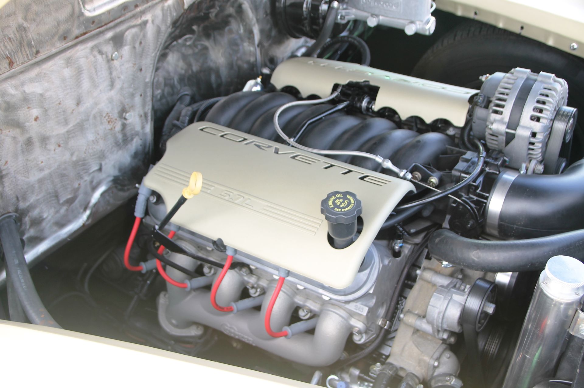 Full View