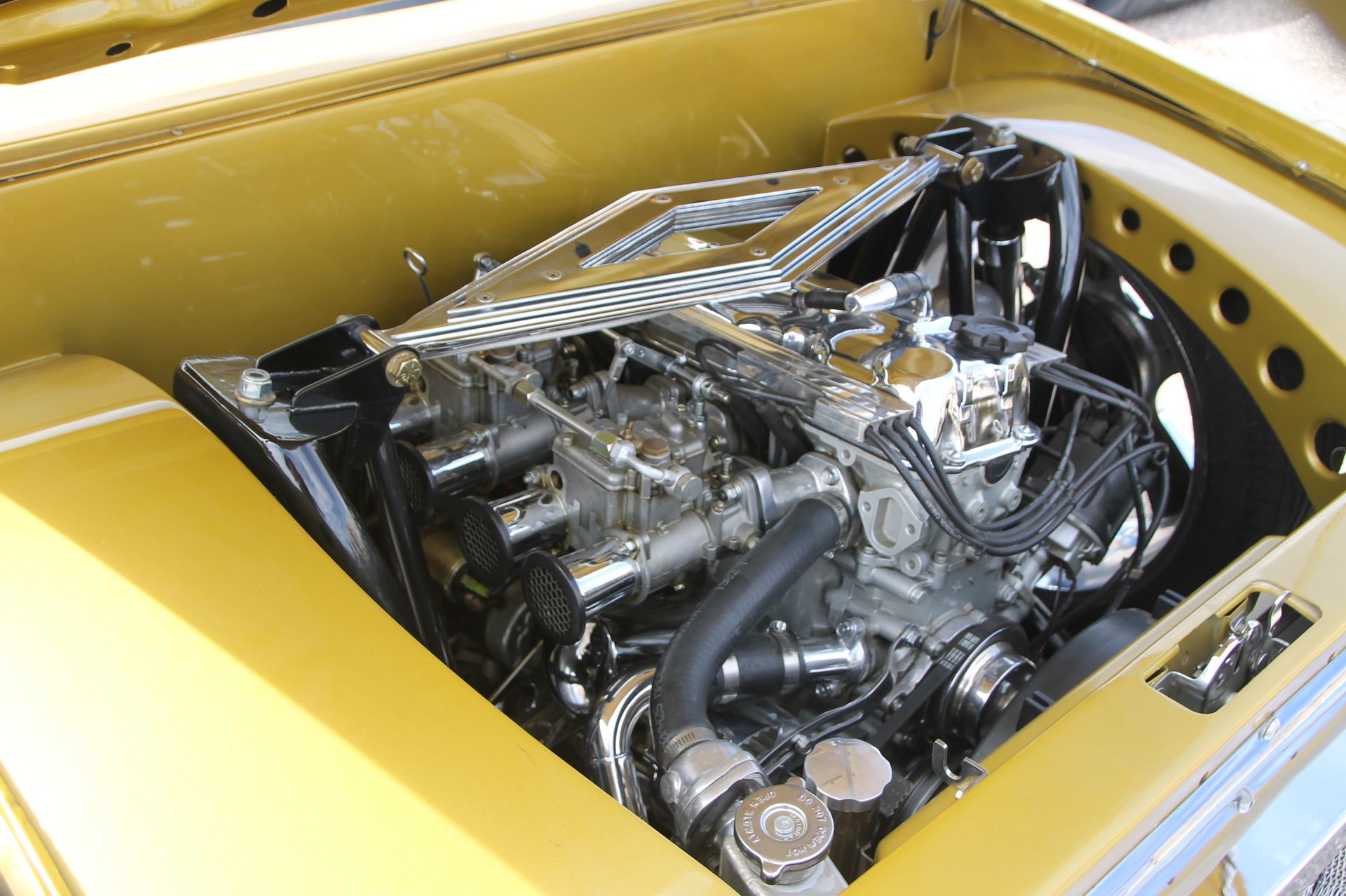 Full View