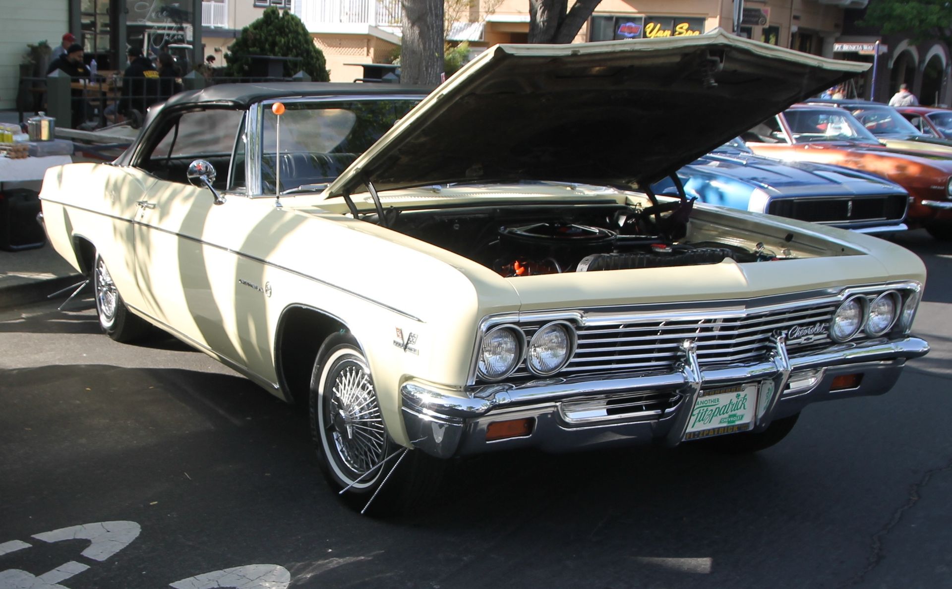 Full View