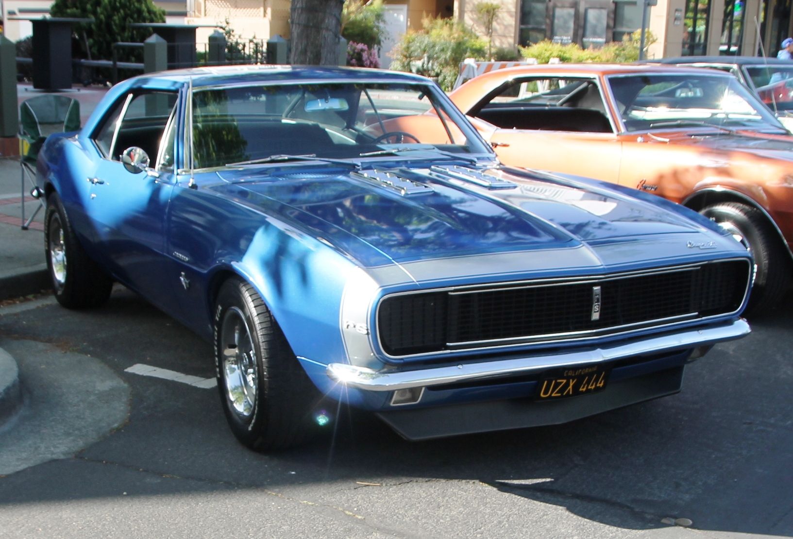 Full View