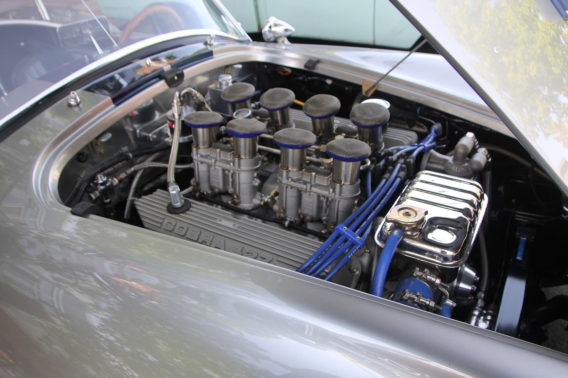 Full View