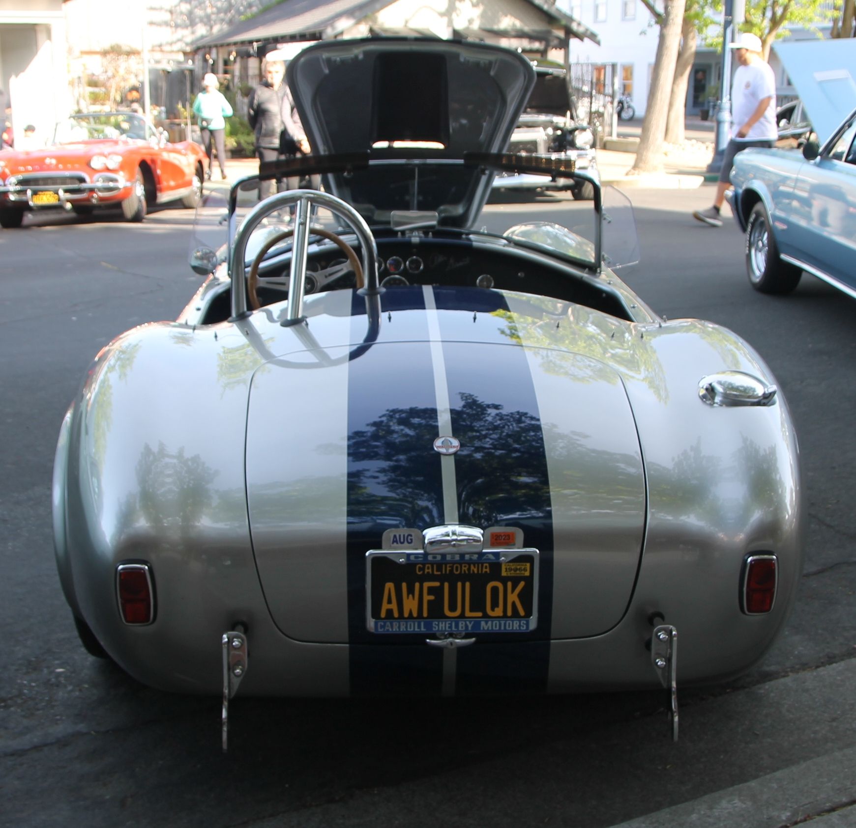 Full View