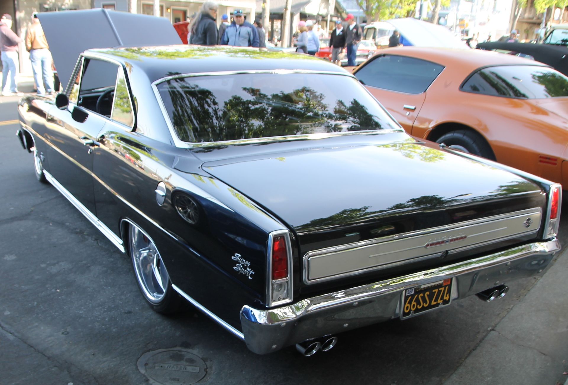 Full View