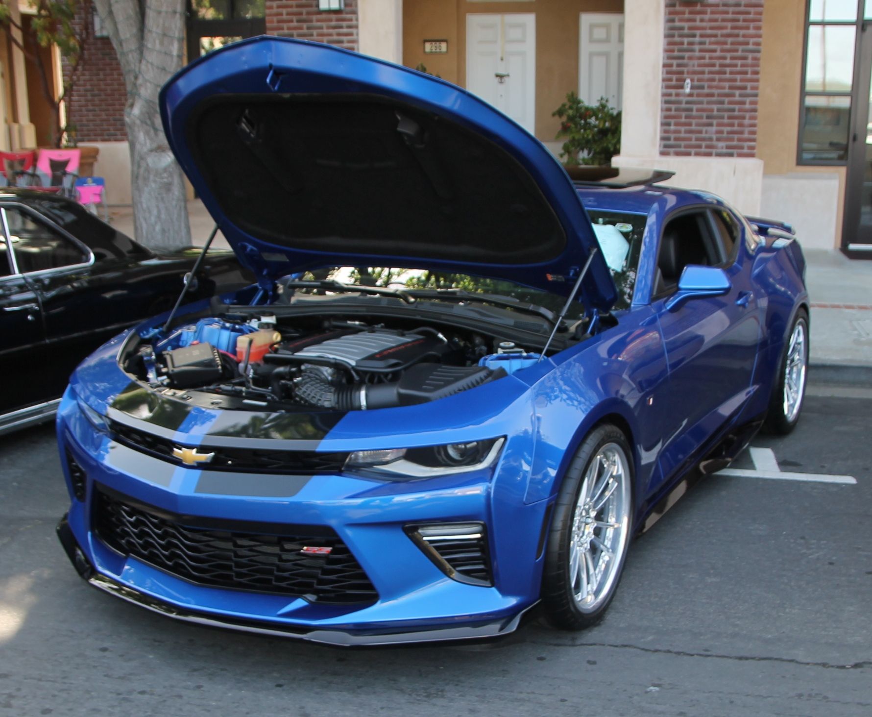 Full View