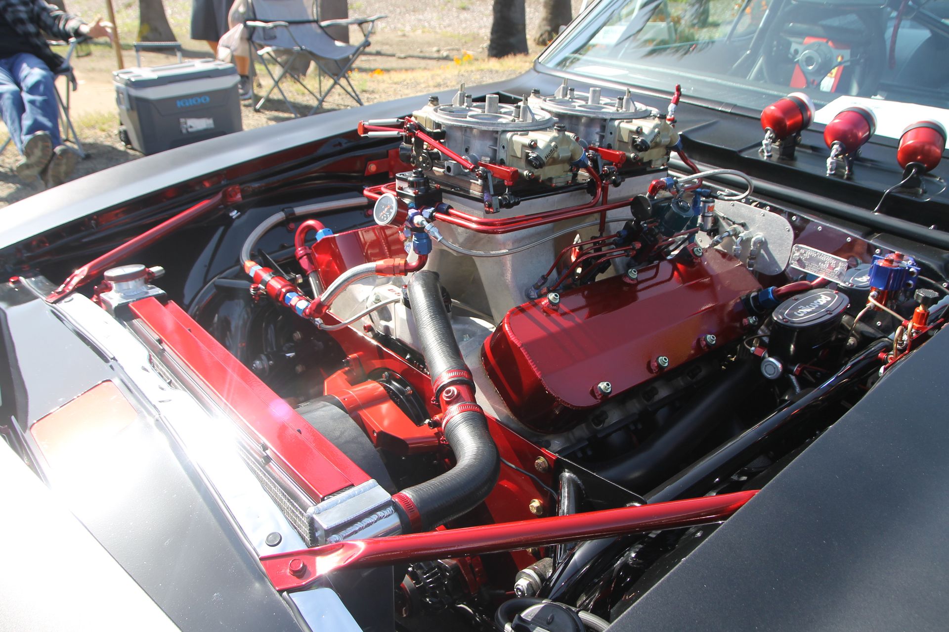 Full View