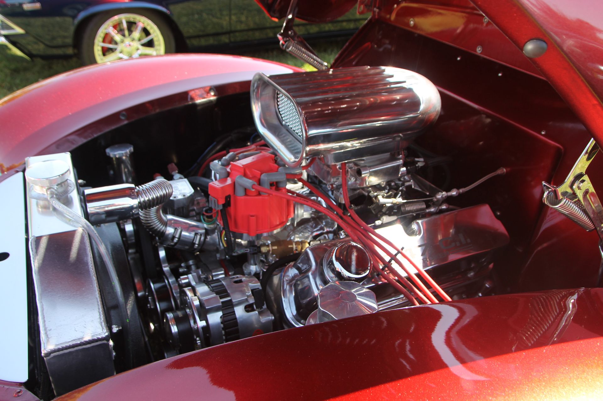Full View