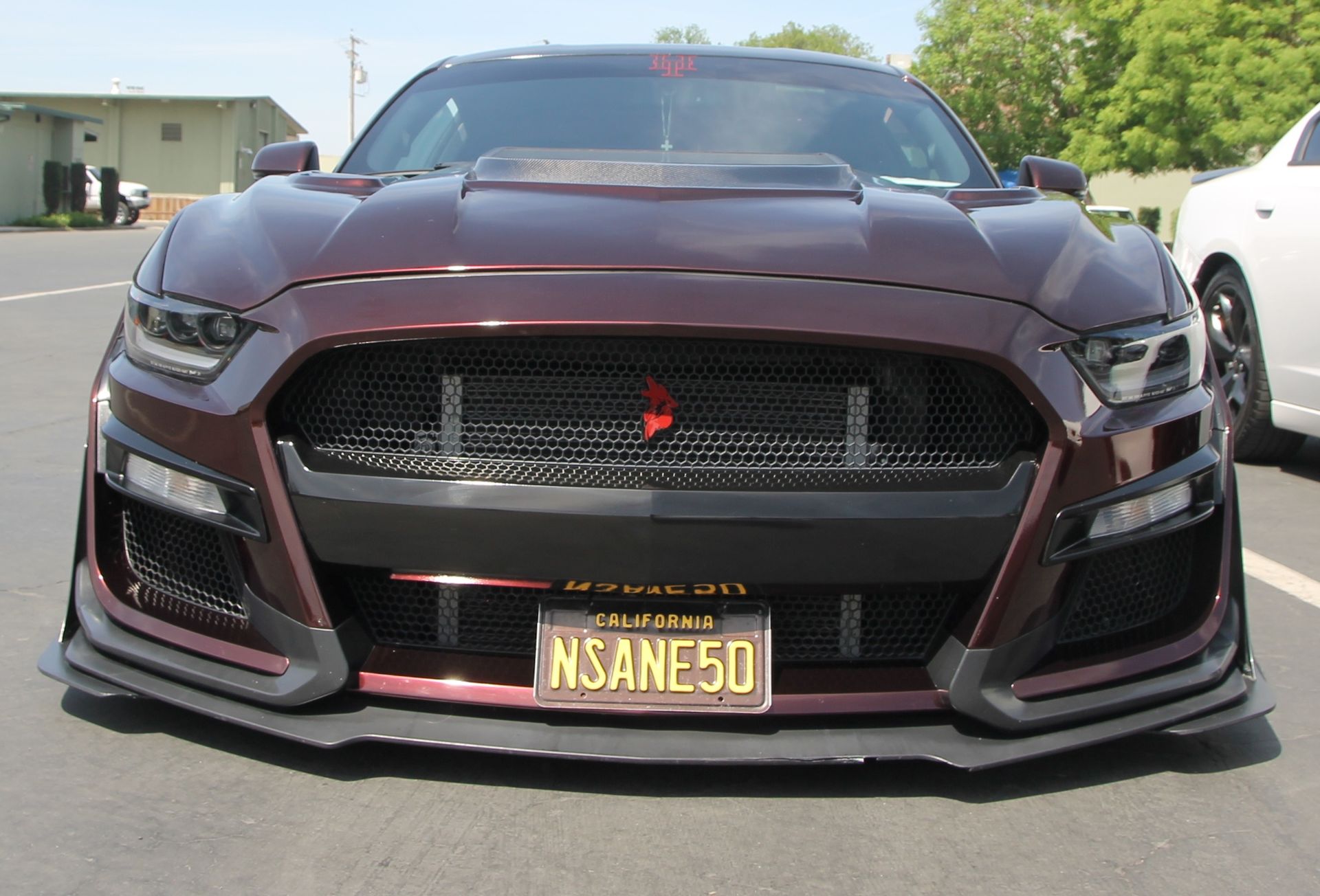 Full View